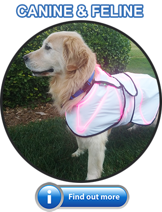 Spectra Therapy Canine Products