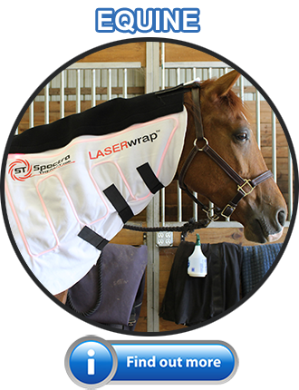 Spectra Therapy Equine Products